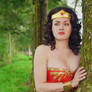 Wonder Woman Lynda Carter Cosplay