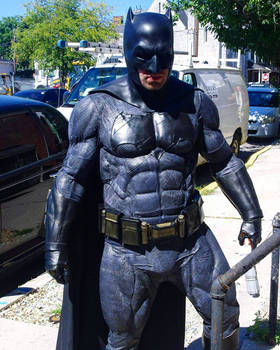 The Dark Knight in Daylight