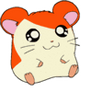 Cute Hamster