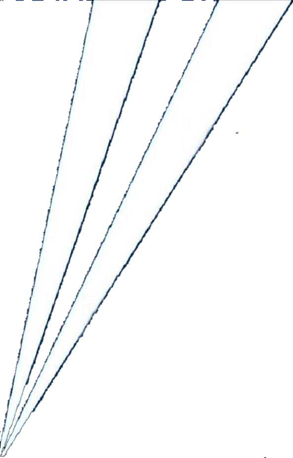 Fox News Searchlight 1996 Present By Foxnews1996 On Deviantart Fox News Searchlight 1996 Present By Foxnews1996 On Deviantart