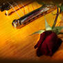 Guitar and rose - Gibson Les Paul