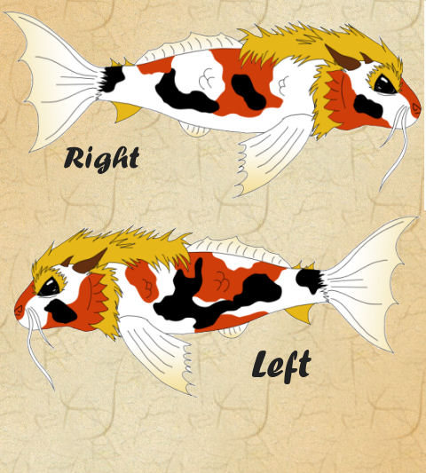 Dragon Koi plush design