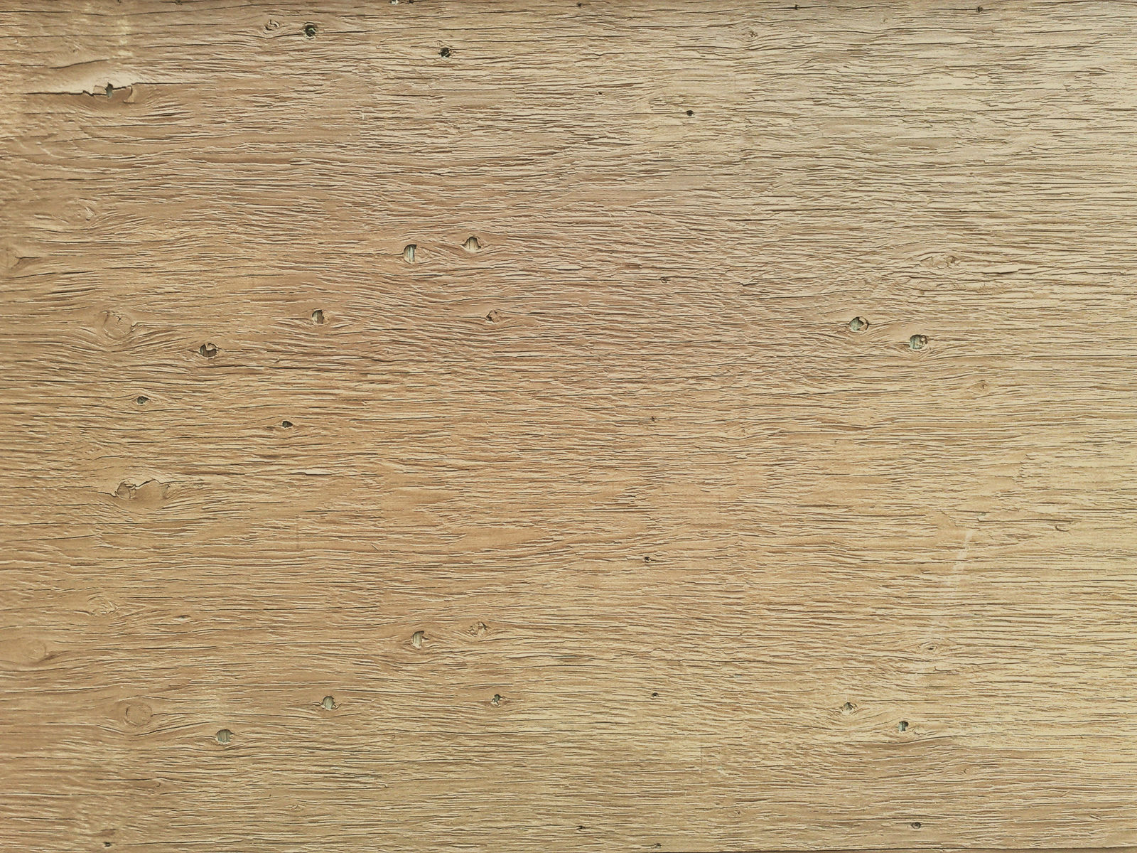 Plywood texture 5051 w/ tiling version