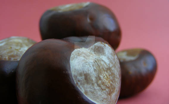 chestnut