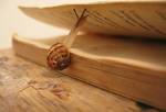 Book Snail by SodiumKid