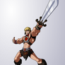 Swashbucklin' He-Man