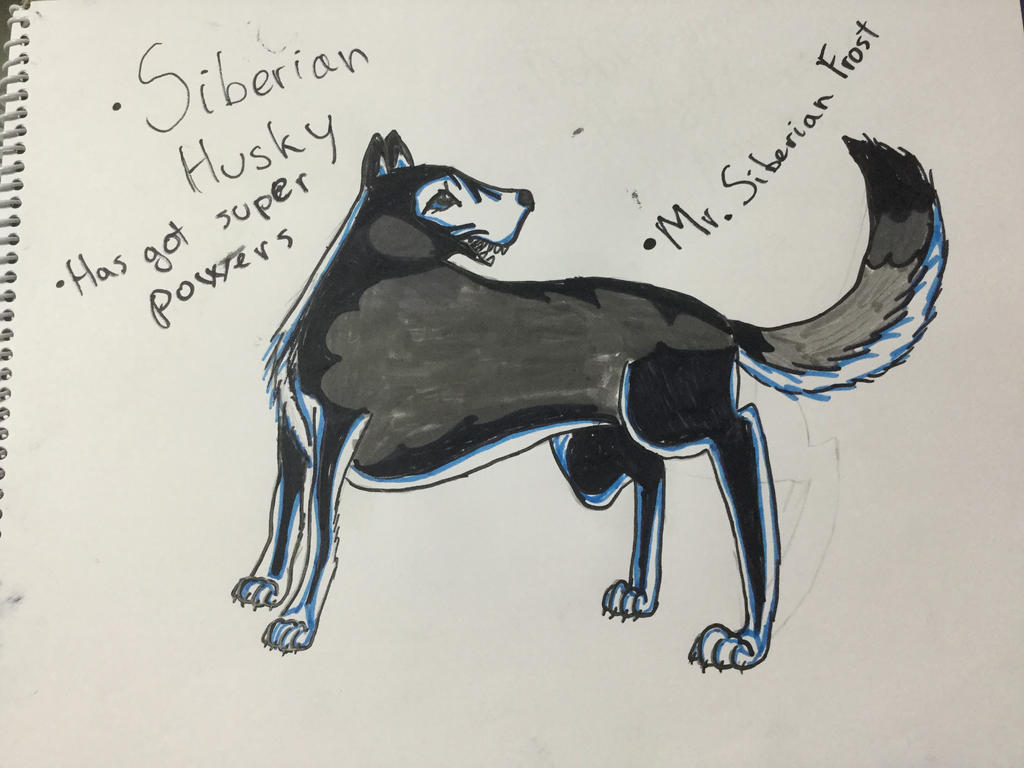 Husky Deviantart Siberian Husky by TheGermanShepherdDog on DeviantArt