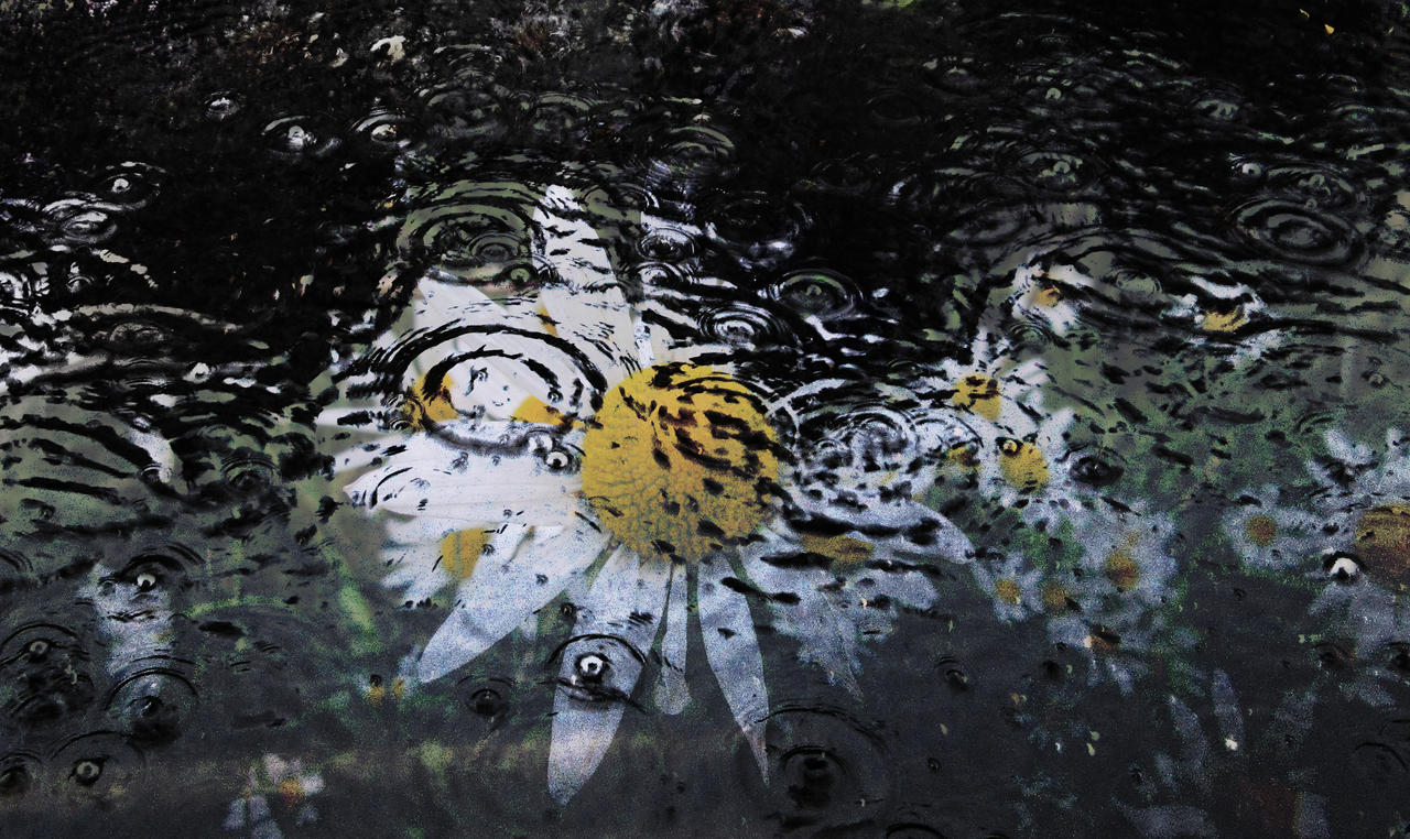 Good Morning Beautiful Rainy Day By Blackfluffyrainbows On Deviantart