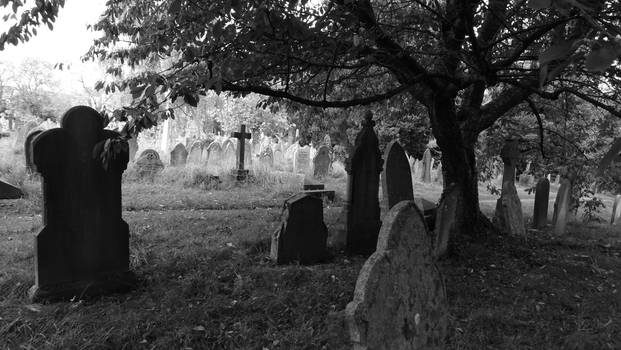 Exeter Cemetary