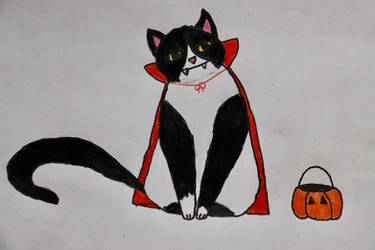 Halloween Cat