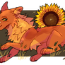 Sunflower (AF)