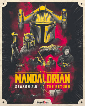 The Mandalorian Season 2.5