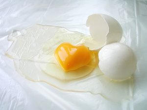 hearty_egg yolk