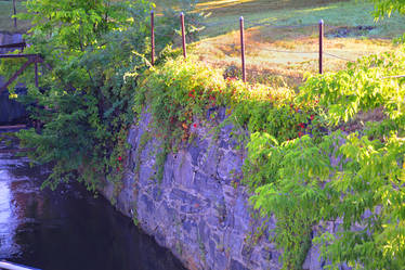 Hanging Gardens