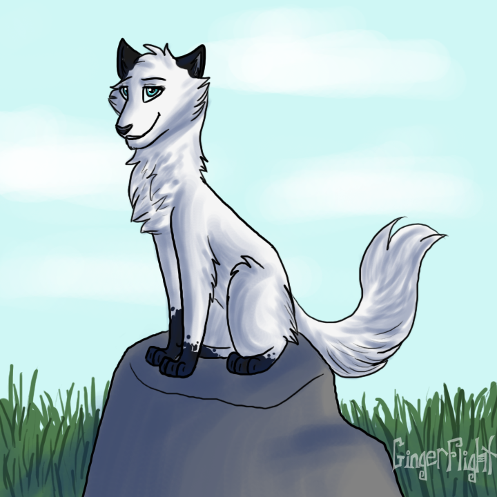 I'm sitting on a rock hurrhurr