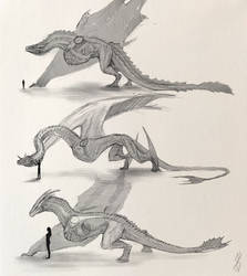 Dragon anatomy