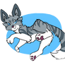 Ivypool