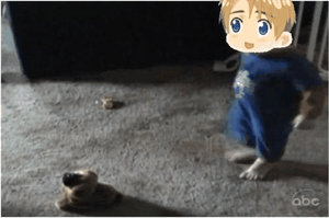 Hetalia - AFV - gif - Chibi America