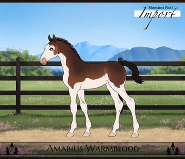 HARPG | HNEC Diamonds Saga | Foal Design