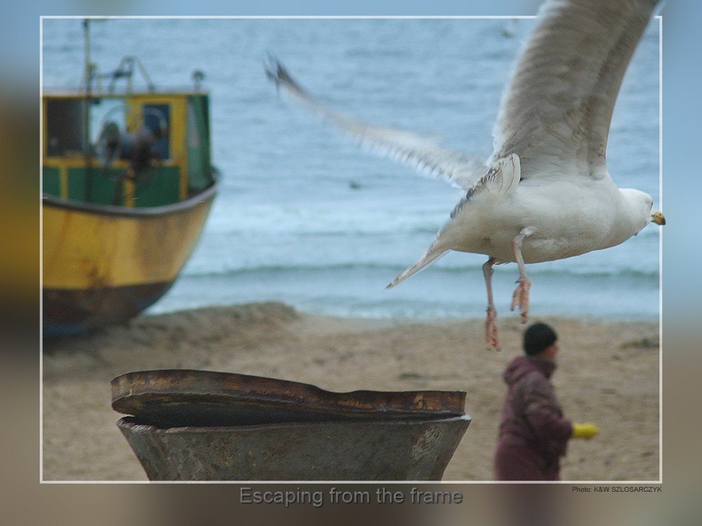 Escaping from the frame