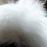 2_crop