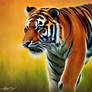 Khan Ahuja - full tiger form