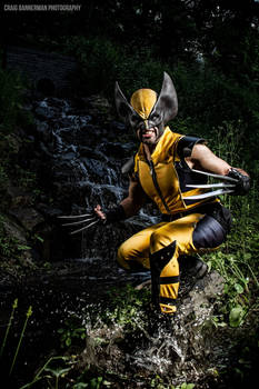 My Wolverine Cosplay - X Men