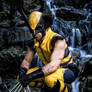 Wolverine Cosplay - ReevzFX - Xmen