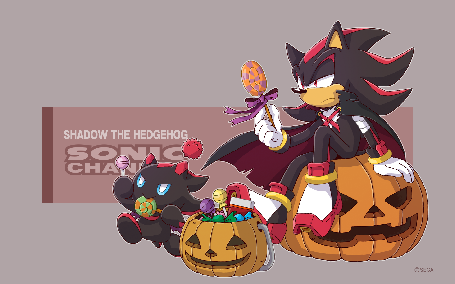 Sonic Channel Shadow the Hedgehog 17 by SoleonTheHedgehog on DeviantArt