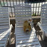 Beeboof's Sunny Day