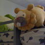 Bidoof Day 2026 (pt 1)