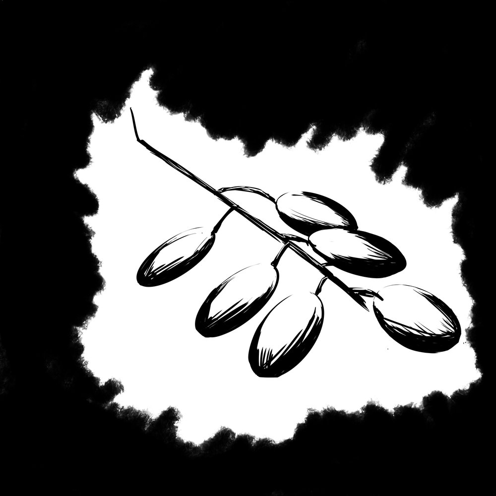 Inktober 2019 #31 - Ripe