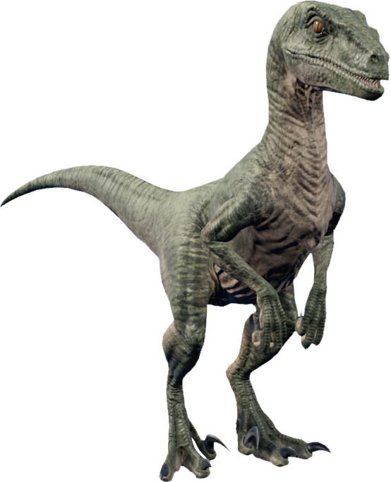 velociraptor:transparent by wookiekookie on DeviantArt