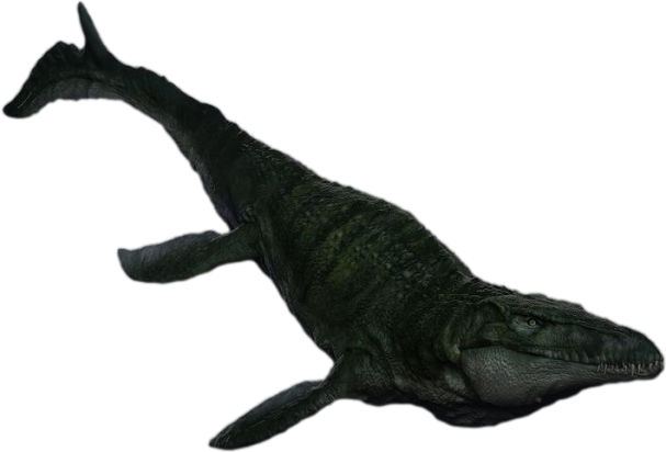 Transparent Mosaurus Rebirth: Mosasaurus-Transparent! by wookiekookie on DeviantArt