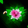 Flowers and tucano