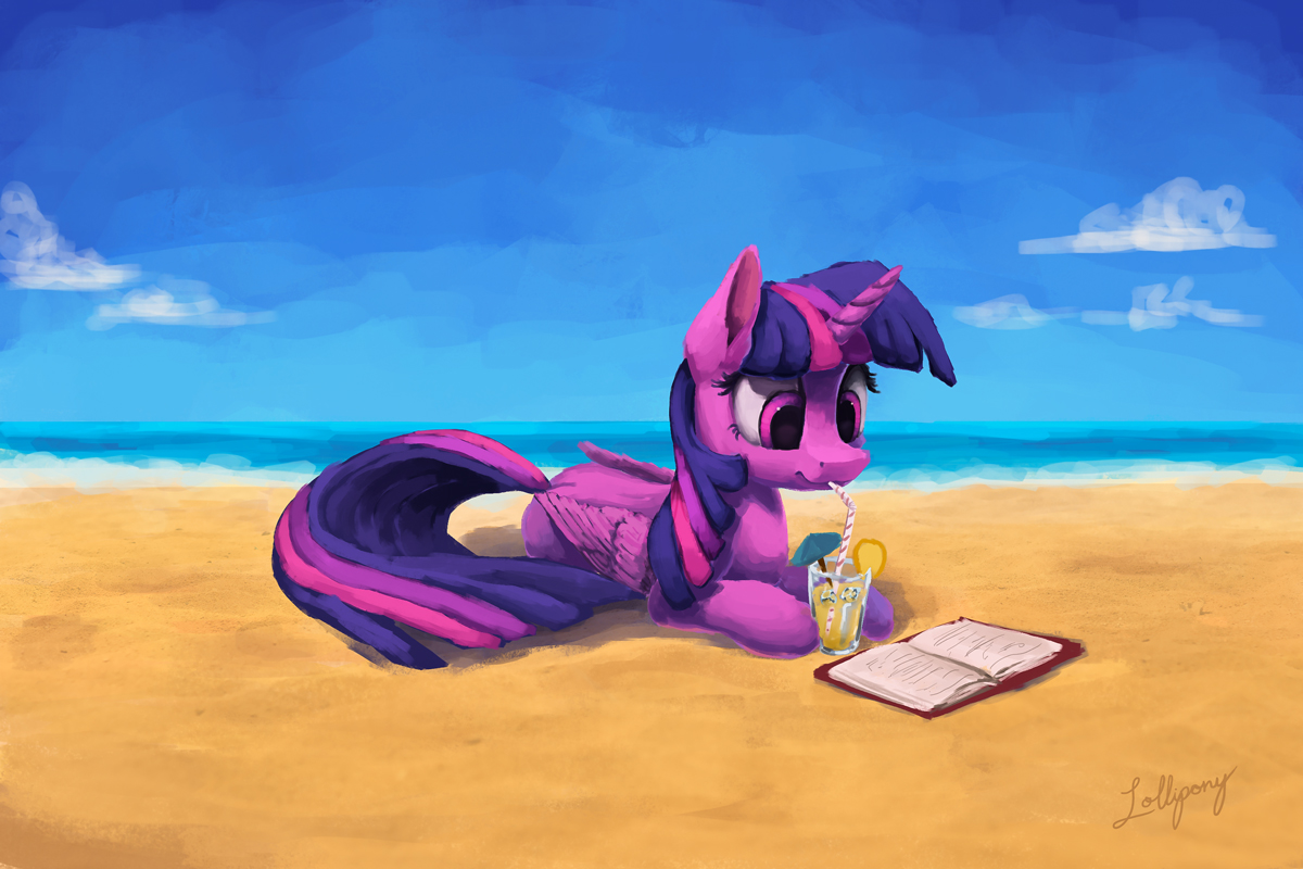 Beach Book