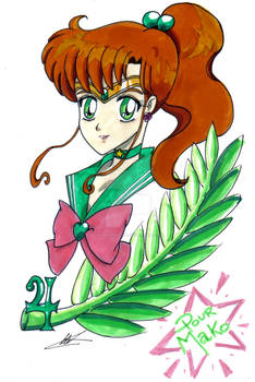 Sailor Jupiter for Mako