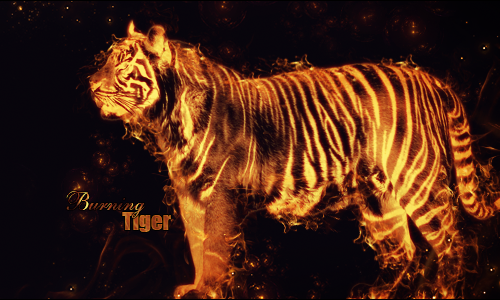 Bengal Tiger Restaurant, Bengal Tiger Burns FEH www.flick…