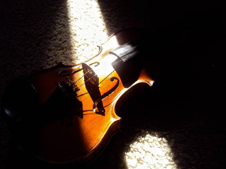 violin