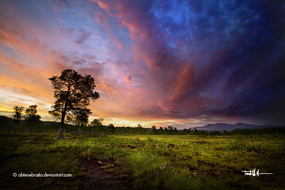 Dusk in the north