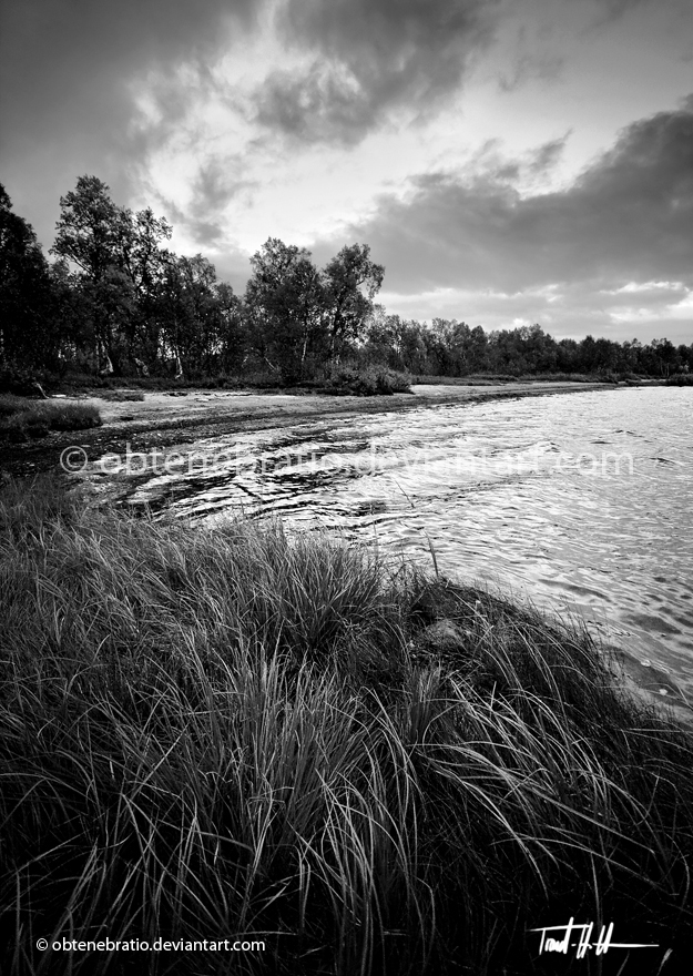 Grass and water