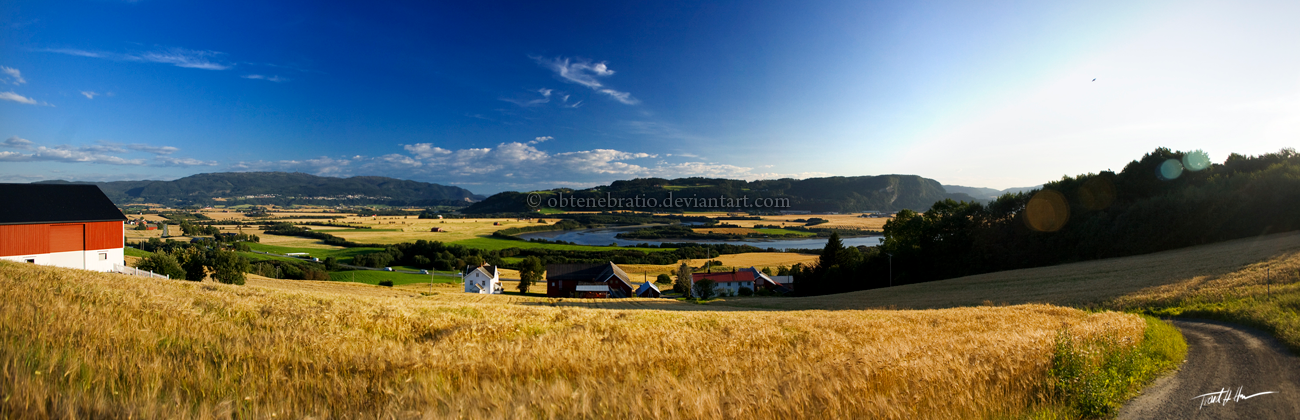 Rural panorama