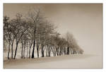 winter by AntekPyra