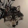 Wolf WIP 