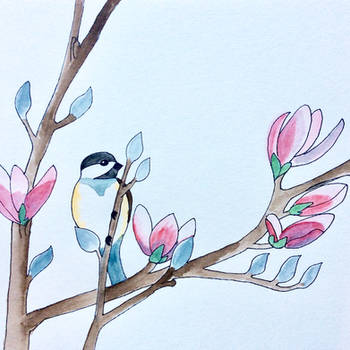 chickadee and magnolia