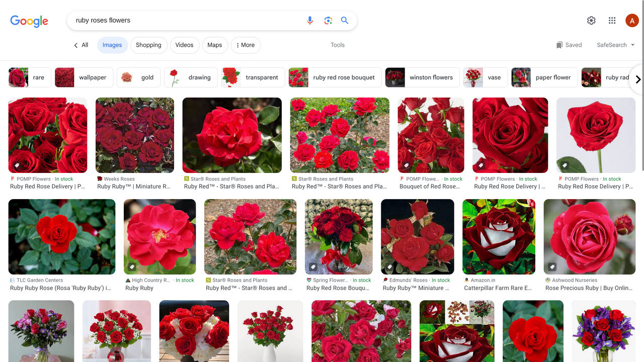 Ruby Roses! by GaicaPenny640 on DeviantArt