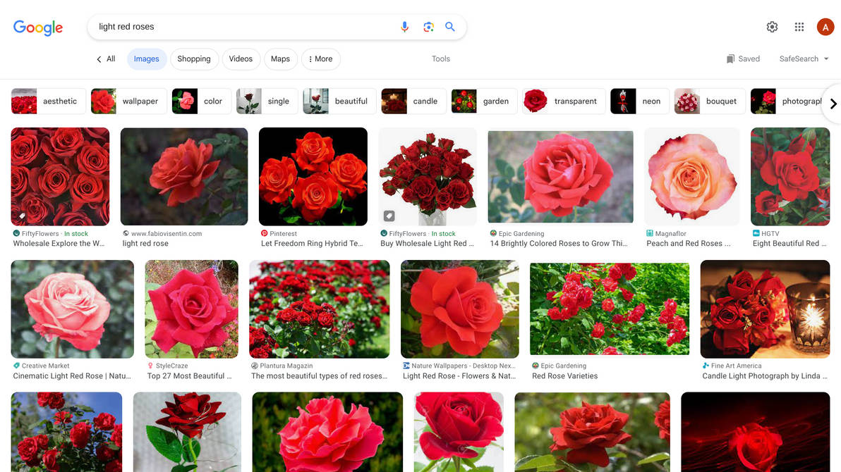 Light Red Roses! by GaicaPenny640 on DeviantArt