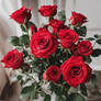 Beautiful And Pretty Red Roses And Flowers