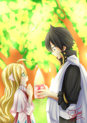 ZerVis