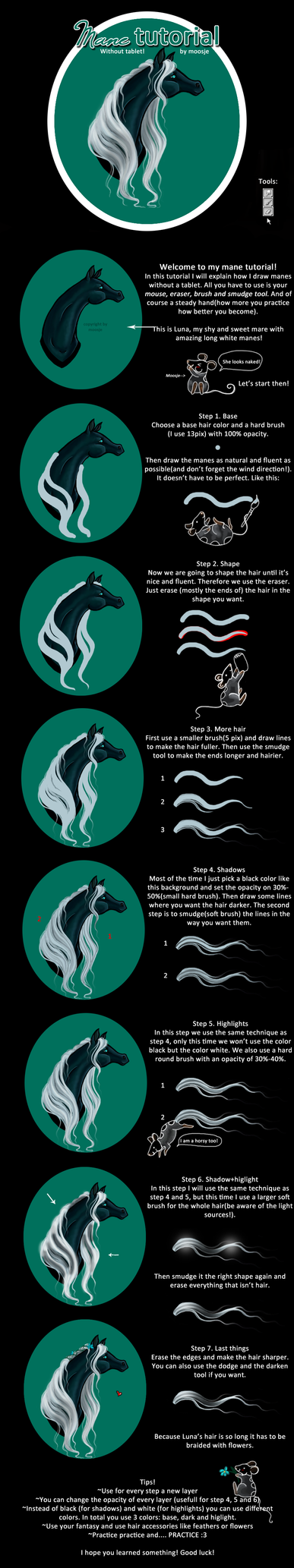 Mane tutorial - with mouse